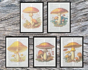 Stampe arte pagina dizionario a tema funghi, set 5 stile cottagecore pagina libro vintage - Foto 1 di 6