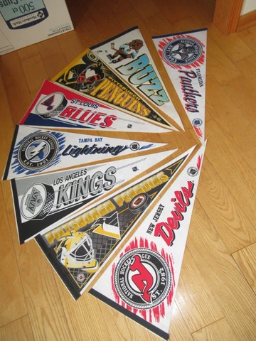 Hockey Pennant Flags NHL NJ Devils Penguins Kings Lightning Blues Panthers Buzz Cover