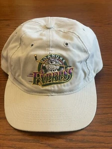 Vintage Roanoke Express   🏒 ECHL Hockey SnapBack Hat - Picture 1 of 10