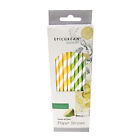Eddingtons Lemon & Lime Paper Straws - Party Drinking Straws - (Pack w/ 30)