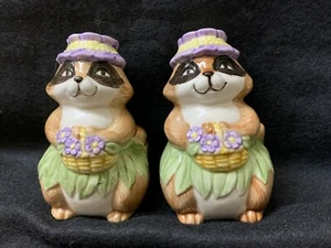 Vintage Otagiri Ceramic Racoon Salt and Pepper Shakers designed by Mary A. Baker - Bild 1 von 4