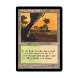 WOTC MtG Onslaught Windswept Heath (R) EX - Picture 1 of 1