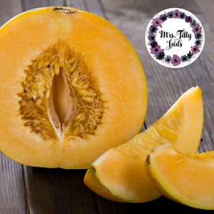 NEU Zuckermelone MINNESOTA MIDGET 10 Samen MIni Cantaloupe Melone HONIGMELONE - Bild 1 von 3