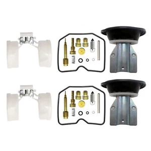 FOR ARCTIC CAT 500 400 ALTERRA 366 350 Carburetor Repair Carb Rebuild Kit - Picture 1 of 10