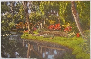 Florida - Palm-fringed lagoon with the Wishing Tree - posted 1949 - Picture 1 of 2