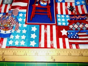29" Kaufman Scenic Patriotic Fabric - Picture 1 of 1