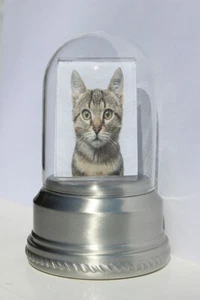 Small/Keepsake 18 Cubic Inch Pewter Iris Pet Funeral Cremation Urn for Ashes - Picture 1 of 1