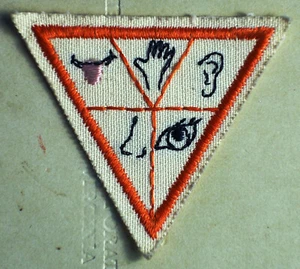 Brownie Girl Scout Try-It - Senses - retired - orange border - Picture 1 of 2