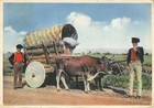 A7215) ORISTANO CARRO DI MILIS VIAGGIATA