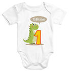 Kurzarm Baby Body Ich Bin Schon 1 Jahr Eins Dino T-Rex Drache Geburtstag Onesie
