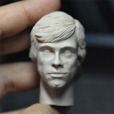 Luke Skywalker Star Wars 1/6 Scale Head Sculpt Unpainted for Figure Soldier Body
