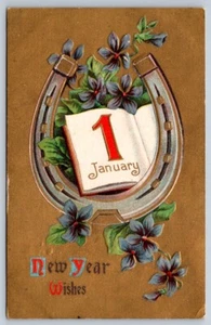 New Year Wishes, Horseshoe, Violets, Antique 1909 Embossed S.H. Knox Postcard - Foto 1 di 2