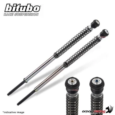 Adjustable JBH1 Bitubo fork cartridge Harley Davidson XL883N Iron 2009-2016 - Image 1 of 4
