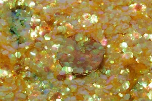 Chunky Iridescent Glitter Mix for Nail Art, crafts, tumblers and more - Picture 1 of 10