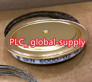SKN6000/02 1PCS New original SEMIKRON SKN6000/02 SCR Thyristor Fast shipment - Picture 1 of 4