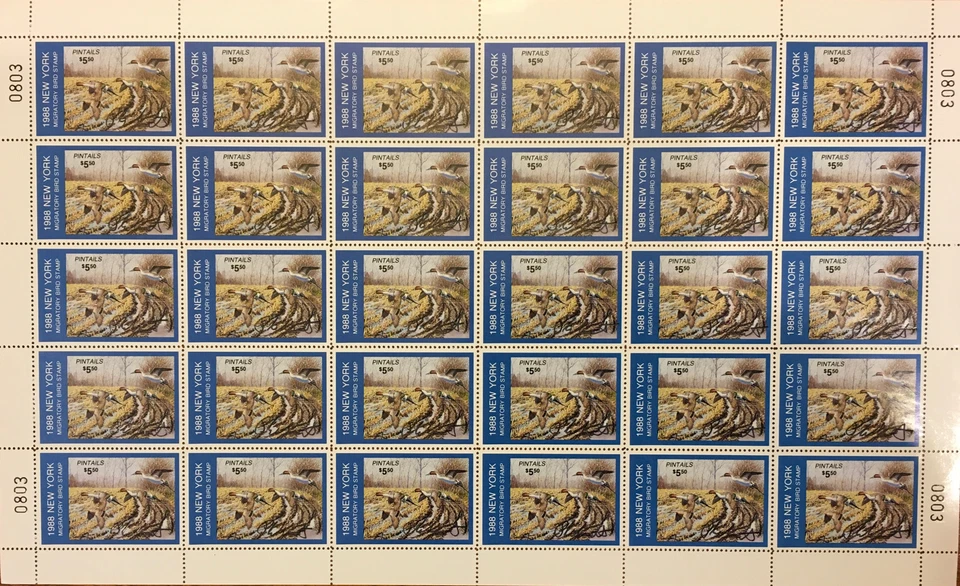 NY4s Nova York 1988 *FOLHA COMPLETA EM PERFEITO ESTADO ASSINADA* Plasschaert, Pintails *RARO* - Imagem 1 de 4