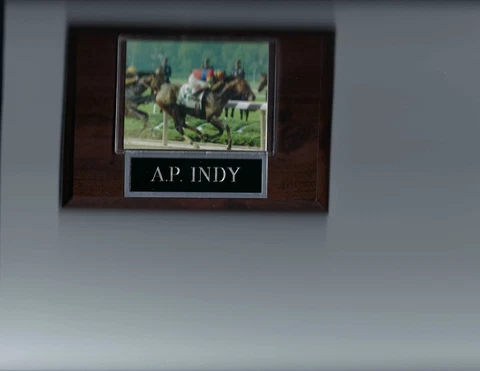 A.P. INDY PLAQUE HORSE RACING TURF Cover