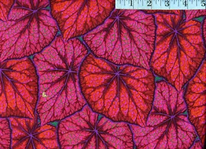 OOP Kaffe Fassett FreeSpirit - Philip Jacobs Begonia Leaves PJ018 Magenta 1/4 YD - Picture 1 of 1