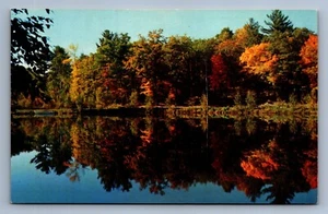 Postkarte Vintage Michigan Lewiston schöne Herbstszene Northland Lake - Bild 1 von 2