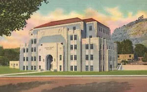 Postal de colección edificio de la corte del condado de Colfax punto de referencia Ratón Nuevo México casi nuevo - Imagen 1 de 2