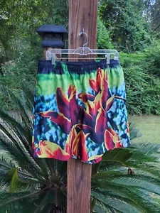 OBEY Shorts Herren Größe XL entspannte Passform Köpershorts mehrfarbig sehr guter Zustand! - Bild 1 von 4