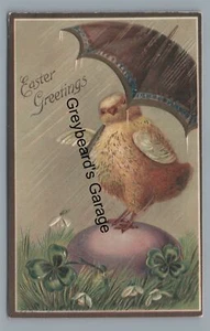 Cute Baby Chick Raining Umbrella EASTER Greetings Vintage Postcard - Picture 1 of 2