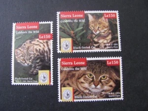 Sierra Leone Briefmarken Schwarzfußkatzenausgaben ungebraucht - Bild 1 von 4