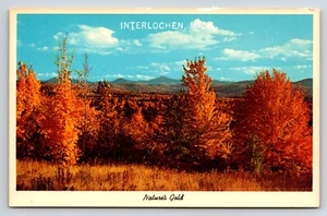 Postal Interlochen, Michigan, Nature's Gold, vista escénica - Imagen 1 de 2