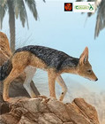 Black Backed Jackal Wild Dog Wildlife Toy Model 88665 by CollectA New