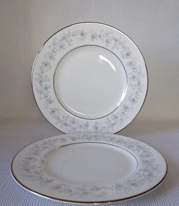 DOS PLATOS DE ENSALADA ROYAL DOULTON AMERSHAM H5037 200mm - Buen estado - Imagen 1 de 2