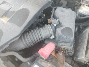 09 10 11 12 13 14 15 16 17 18 19 TOYOTA COROLLA Air Cleaner - Picture 1 of 1