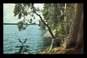 Muskoka Canada Postcard • Lake Near Bracebridge - Picture 1 of 2