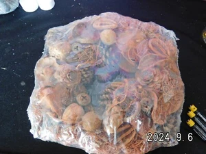 Naturkranz/neuwertig/Naturmaterialien - Bild 1 von 4