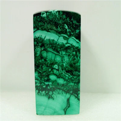 3.6"1lb Maravilloso sello de malaquita natural muestra exhibición Congo Y1220 Foto 1 de 4