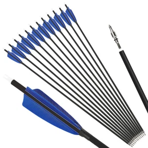 30'' Carbon Arrows SP500 4'' Turkey Feather Screw Broadheads Archery Bow Hunting - Picture 1 of 20