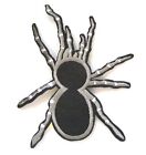 Spider Iron On Patch- Creepy Crawly Halloween Nature Embroidered Applique Badge 
