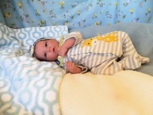 silicone babies for free