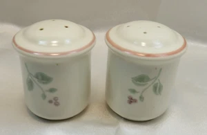 Vintage 1991 - Pfaltzgraff - Salz & Pfefferstreuer Set - Garden Grove - Bild 1 von 6