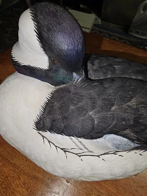 Preening Bufflehead Boccherini Ducks Unlimited Special Edition  2003-04 Decoy - Image 1 of 4