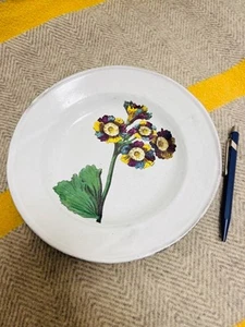 Astier de Villatte Lord Willoughbys Soup Plate 22cm John Derian - Imagen 1 de 4