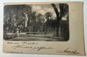 Alameda Alanieda Mexico c. 1900 Antique Postcard Litho Rare - Picture 1 of 2