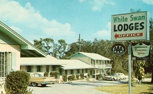 White Swan Motor Lodge - Lakeland, Florida Vintage Postcard - Picture 1 of 2