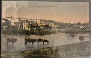 1915 - Peschiera del Garda - R. Stazione di Pescicultura - Picture 1 of 1