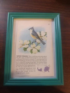 Tufted  Titmouse Reclaimed Page - Picture 1 of 3