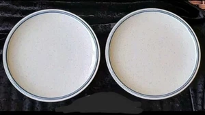 Mikasa Cordon Bleu CG500 Dinner Plates, Set Of 2 - Picture 1 of 7