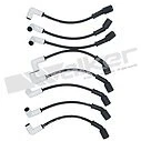 Juego de cables de bujía Walker para Chevrolet W3500 Tiltmaster 2004-2008 6,0 L V8 Foto 1 de 1