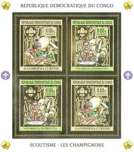 Democratic Republic of the Congo 2012 Perf. Scouting & Mushrooms - Gold Issue (2 - Imagen 1 de 1