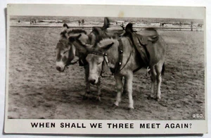 Large Postcard - WHEN SHALL WE THREE MEET AGAIN? DONKEYS, BAMFORTH (JOH24-16) - Picture 1 of 2