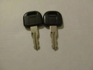 Llave de remolque autocaravana 2 llaves CW428 FIC cerradura de puerta de entrada perilla cerrojo - Imagen 1 de 1