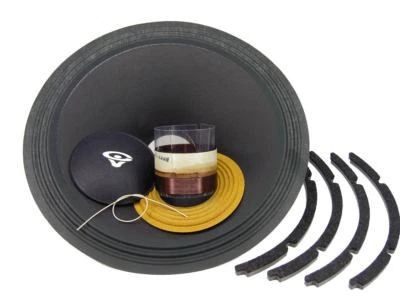 Kit de reconocimiento para woofer Cerwin Vega SW154-4 15" 4 ohmios premium SS piezas de audio Foto 1 de 4